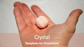  Presentation with human mind - Colorful presentation theme enhanced with subconscious mind - human hand holds a very backdrop and a coral colored foreground