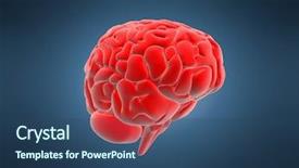  Presentation with mind - Presentation theme consisting of subconscious mind - red brain background and a ocean colored foreground