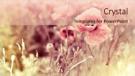  Presentation with meadow - PPT layouts consisting of subtle - morning flowers meadow - vintage background and a lemonade colored foreground