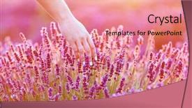  Presentation with sunshine flower - Slides consisting of subtle - woman's hand softly touching lavender background and a coral colored foreground