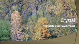  Presentation with tapestry - Audience pleasing slides consisting of subtle tapestry of fall colors backdrop and a gray colored foreground
