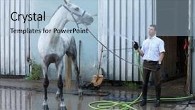  Presentation with wash - Amazing theme having success hurdles - jockey wash horse from hose backdrop and a light blue colored foreground