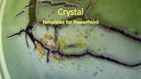  Presentation with succulent - PPT theme enhanced with succulent abstract background and a tawny brown colored foreground