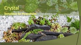  Presentation with succulent - Cool new presentation design with succulent garden with different plants backdrop and a tawny brown colored foreground