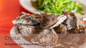  Presentation with succulent - Slide deck with succulent-raw-oysters-on-plate background and a  colored foreground