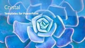  Presentation with succulents - PPT layouts with succulents-cactus-for-decoration-cactus background and a teal colored foreground