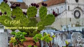  Presentation with succulents - Beautiful PPT theme featuring succulents-on-a-terrace-against backdrop and a tawny brown colored foreground