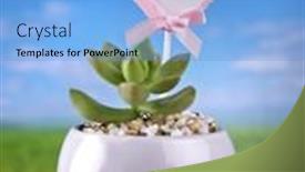  Presentation with succulents - Slide set featuring succulents-with-heart-shaped-tag background and a teal colored foreground