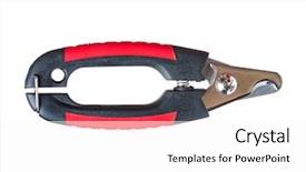  Presentation with dogs cats - Amazing slide set having pets such as dog backdrop and a white colored foreground