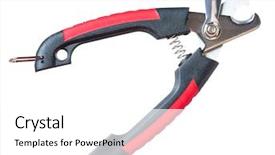  Presentation with dogs cats - Colorful presentation enhanced with pets such as dog backdrop and a white colored foreground