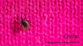  Presentation with diseases - Presentation featuring sucking carrier of various disease background and a purple colored foreground