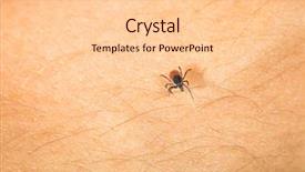  Presentation with blood - Presentation theme consisting of sucking carrier of various disease background and a lemonade colored foreground