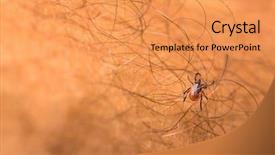  Presentation with diseases - PPT theme featuring sucking carrier of various disease background and a yellow colored foreground