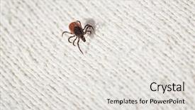  Presentation with diseases - Audience pleasing slides consisting of sucking carrier of various disease backdrop and a light gray colored foreground