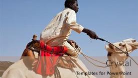  Presentation with camel - 