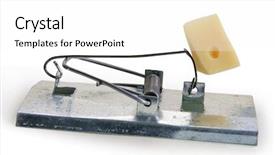  Presentation with death - Audience pleasing presentation theme consisting of sudden death - mouse trap backdrop and a white colored foreground