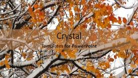  Presentation with oak forest - Presentation enhanced with sudden snowfall in the fall oak forest background and a coral colored foreground