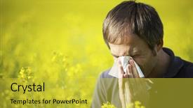  Presentation with hay field - PPT theme consisting of suffering from hay fever background and a yellow colored foreground