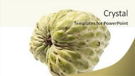  Presentation with custard apple kulfi - Cool new slides with sugar apple custard apple annona backdrop and a blonde colored foreground