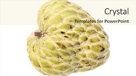  Presentation with sugar - Colorful presentation enhanced with sugar apple custard apple annona backdrop and a blonde colored foreground