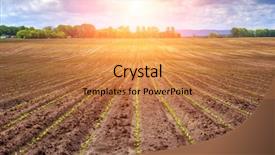  Presentation with agriculture sugar beet - Colorful slides enhanced with sugar beet field and sunset backdrop and a gold colored foreground