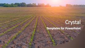  Presentation with agriculture sugar beet - Audience pleasing presentation consisting of sugar beet field and sunset backdrop and a tawny brown colored foreground