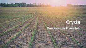  Presentation with agriculture sugar beet - Beautiful presentation featuring sugar beet field and sunset backdrop and a coral colored foreground