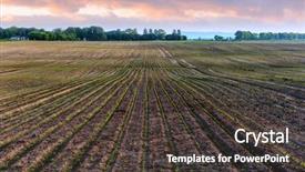  Presentation with agriculture sugar beet - Audience pleasing slide set consisting of sugar beet field and sunset backdrop and a dark gray colored foreground