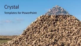  Presentation with sugar - Audience pleasing presentation theme consisting of sugar beet heap on autumn backdrop and a  colored foreground