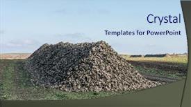  Presentation with agriculture sugar beet - Beautiful presentation featuring sugar beet heap on autumn backdrop and a  colored foreground