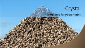  Presentation with agriculture sugar beet - Presentation theme enhanced with sugar beet heap on autumn background and a  colored foreground