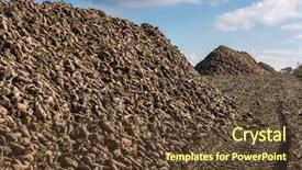  Presentation with agriculture sugar beet - PPT theme enhanced with sugar beet heap on autumn background and a tawny brown colored foreground
