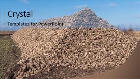  Presentation with agriculture sugar beet - Theme with sugar beet heap on autumn background and a light blue colored foreground