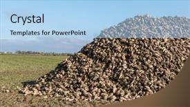  Presentation with sugar - Colorful slide deck enhanced with sugar beet heap on autumn backdrop and a  colored foreground
