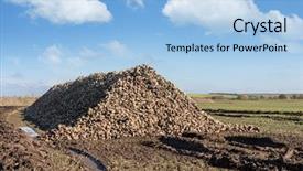  Presentation with agriculture sugar beet - Slide set featuring sugar beet heap on autumn background and a light blue colored foreground