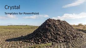  Presentation with agriculture sugar beet - PPT theme with sugar beet heap on autumn background and a light blue colored foreground