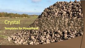  Presentation with sugar - Slides enhanced with sugar beet heap on autumn background and a tawny brown colored foreground