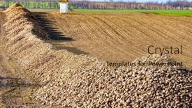  Presentation with czech republic - Slide deck having sugar-beet-near-jaroslavice-southern background and a  colored foreground
