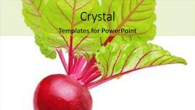  Presentation with beetroot - Presentation theme featuring sugar beets - beetroot with leaves fresh whole background and a  colored foreground