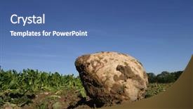  Presentation with plants - Presentation theme with sugar beets - plants background and a ocean colored foreground