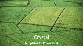  Presentation with crops - Colorful slides enhanced with sugar cane - aerial of sugarcane crops backdrop and a tawny brown colored foreground