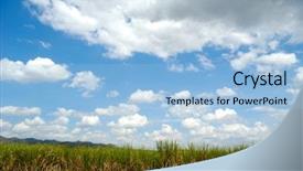  Presentation with sugarcane - Amazing theme having sugar cane - sugarcane field backdrop and a light blue colored foreground