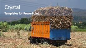  Presentation with cane - Cool new presentation theme with sugar cane - sugarcane truck with full load backdrop and a seafoam green colored foreground