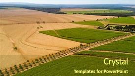  Presentation with sugar cane - Audience pleasing presentation design consisting of india farmer - sugar cane field in brazil backdrop and a tawny brown colored foreground