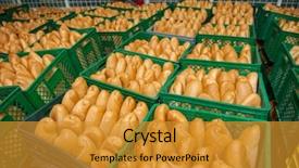  Presentation with fresh bread subway food - Audience pleasing slides consisting of sales manufacturing - fresh bread food backdrop and a gold colored foreground