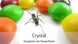  Presentation with ant - Theme consisting of suger - colorful candy and ant background and a white colored foreground