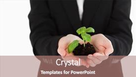  Presentation with plant - Amazing slides having suit holding a small plant backdrop and a  colored foreground