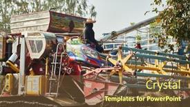  Presentation with rice grain - 