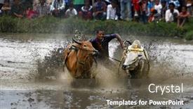 Presentation with pacu - Cool new slide deck with sumatera-indonesia-february-11 backdrop and a gray colored foreground