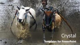  Presentation with pacu - Slide set with sumatera-indonesia-february-11 background and a dark gray colored foreground